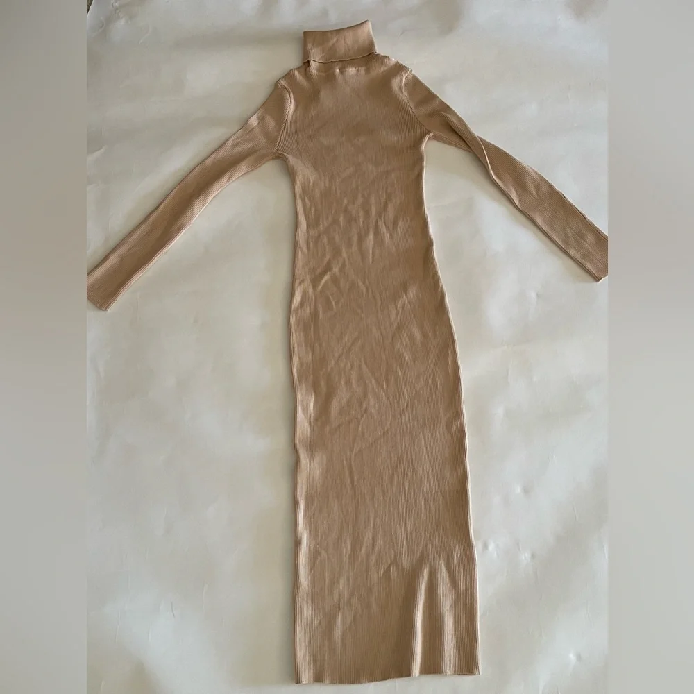 Elegant Sophisticated Tan Turtleneck Dress